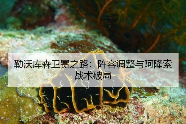 勒沃库森卫冕之路：阵容调整与阿隆索战术破局