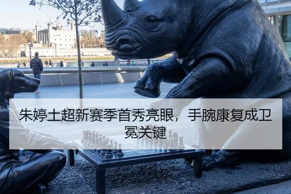 zhu-ting-tu-chao-xin-sai-ji-shou-xiu-liang-yan-shou-wan-kang-fu-cheng-wei-mian-guan-jian-3-831.jpg