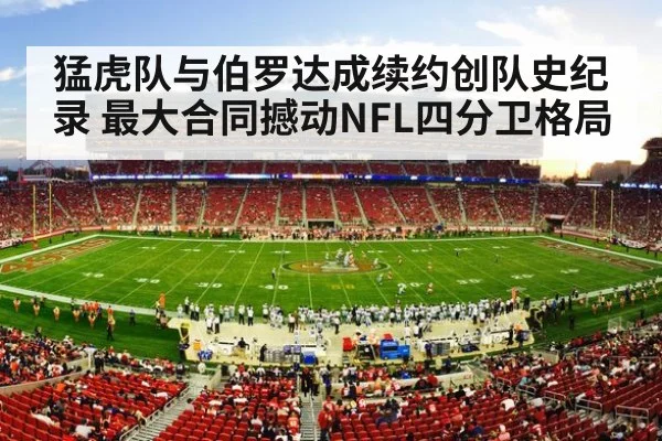 NFL football stadium crowd