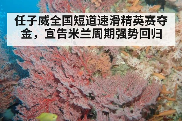 任子威全国短道速滑精英赛夺金，宣告米兰周期强势回归